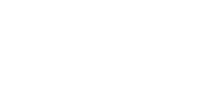 Miami Shines