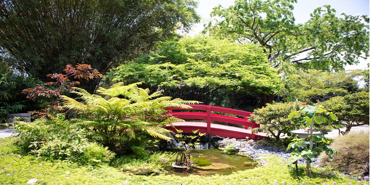 botanical garden bridge asian